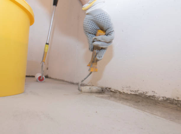 Best Fumigation Services  in Ruckersville, VA